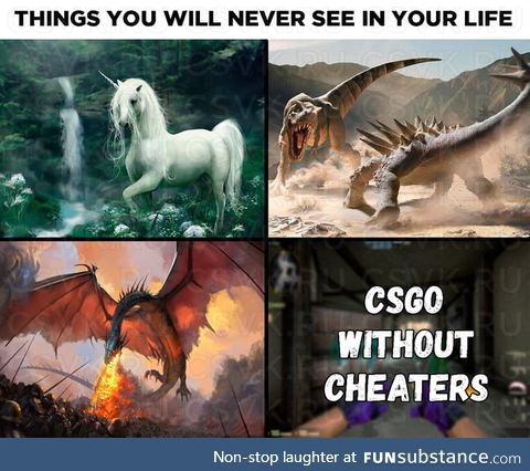 Things you will never see