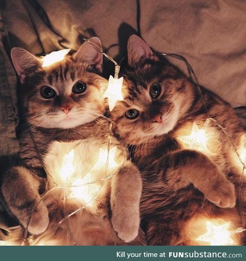 I hope this brightens your day