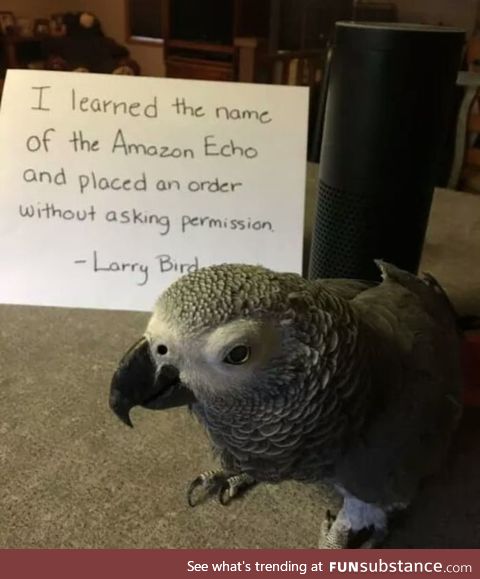 Known as Larry Bird