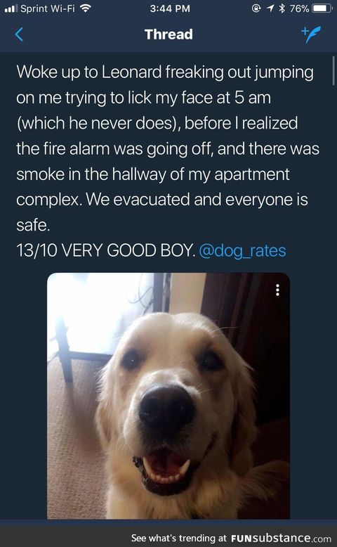 Good boy Leonard