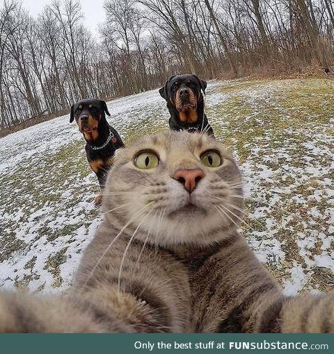 When your selfie game is strong