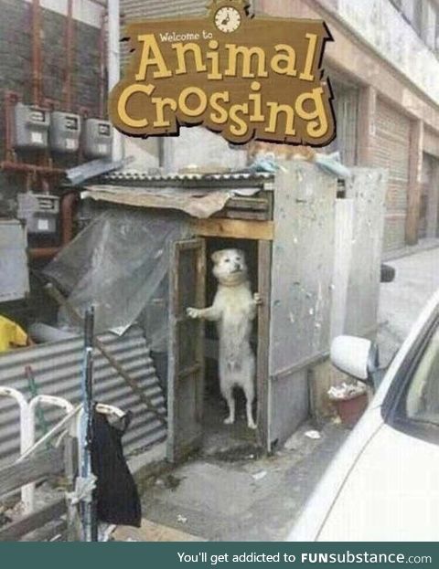 Animal crossing