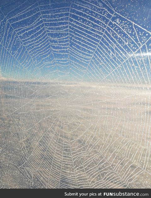There was a spiderweb on my plane's window today and when we got in the air it froze