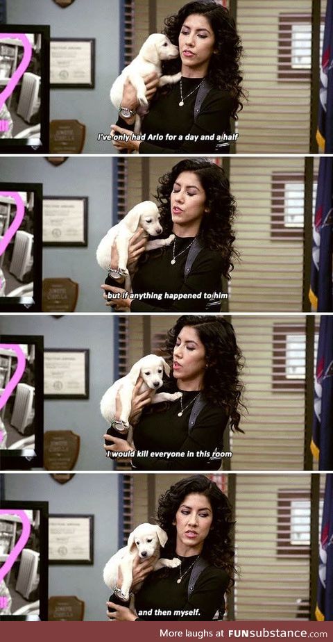 When you love your pet too much