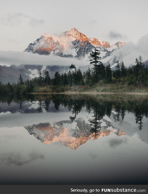 I just moved to Washington a month ago. I took this photo last fall.