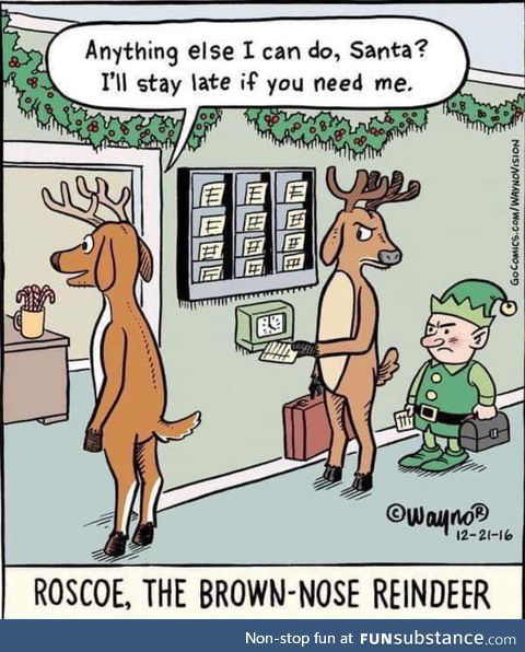 Roscoe, The brown nosed reindeer