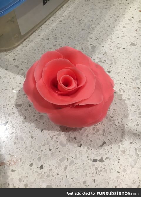 My first attempt at making a rose by hand out of icing for my daughters birthday cake