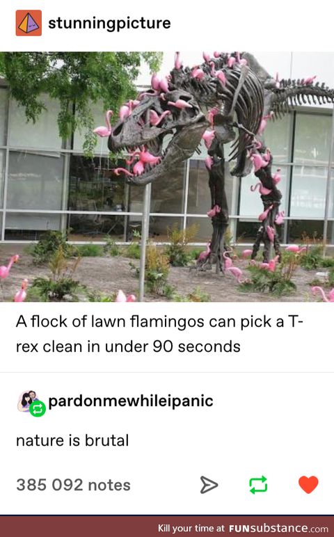 Nature at work
