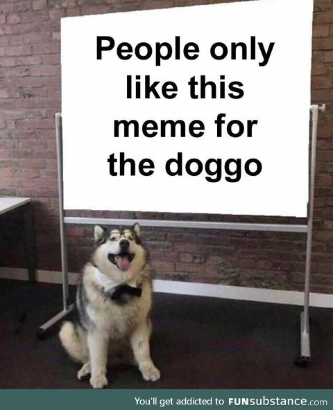 But he's a good boi