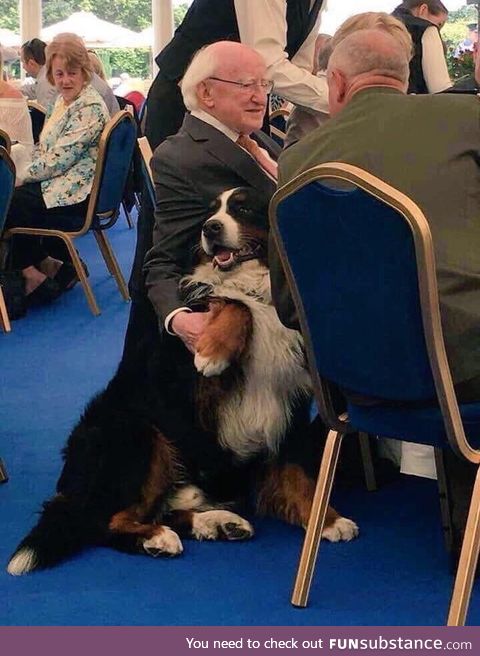 The Irish President with his dog