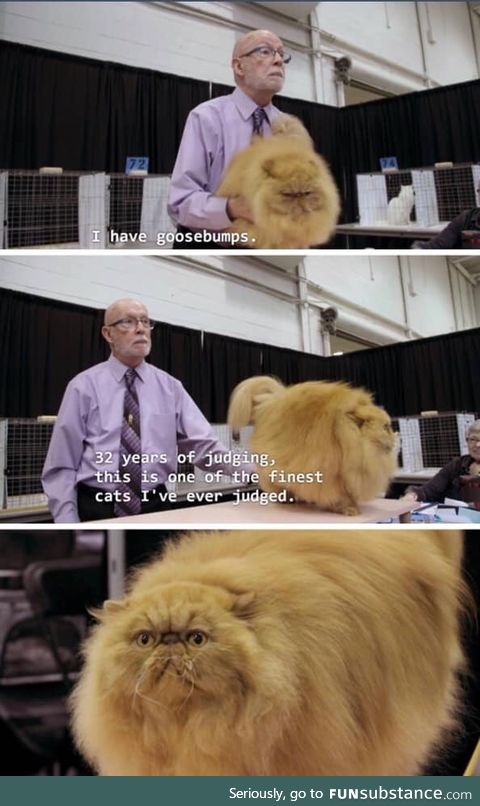This is one of my all time favorites