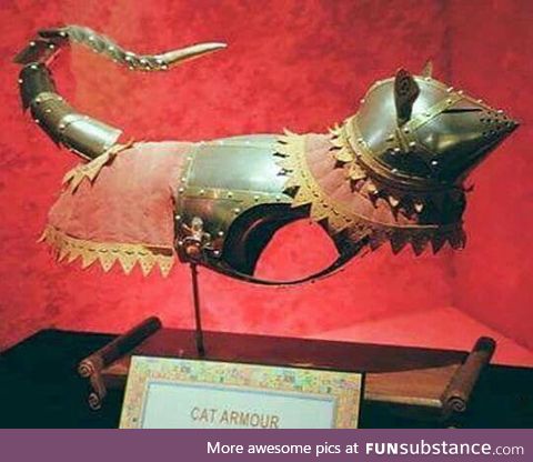 The suit of armour King Henry VIII had made for his cat Dagobert