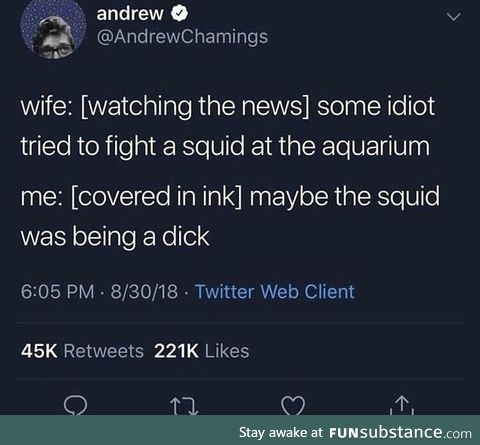 Stupid squid