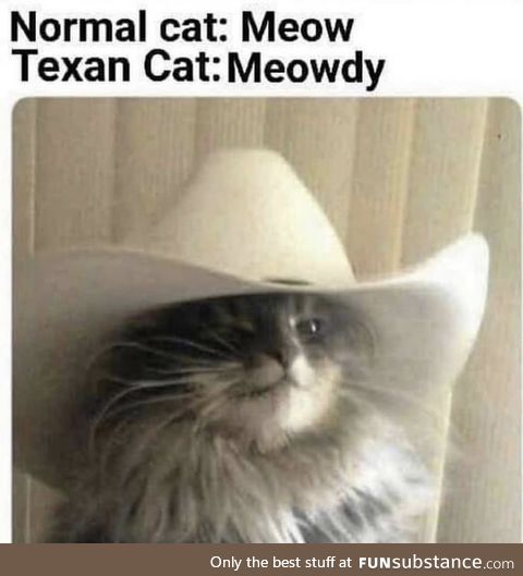 You have yeed your last meow