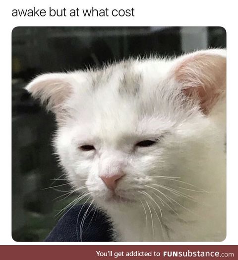 Every morning