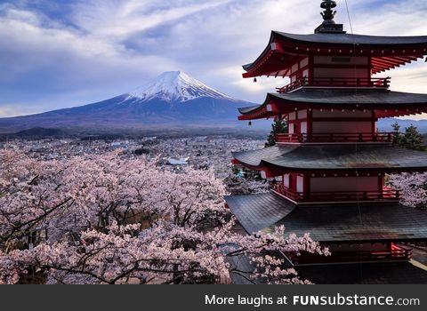 Mt. Fuji, japan (s.Hashimuki)