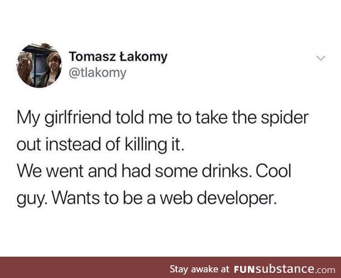 Web developer