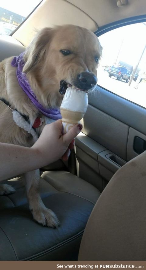 Angry icecream chomps