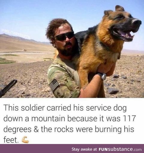Carried his dog down the mountain