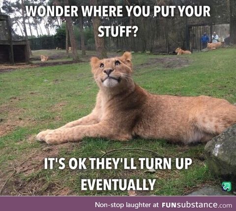 Lioness is here to tell you its ok