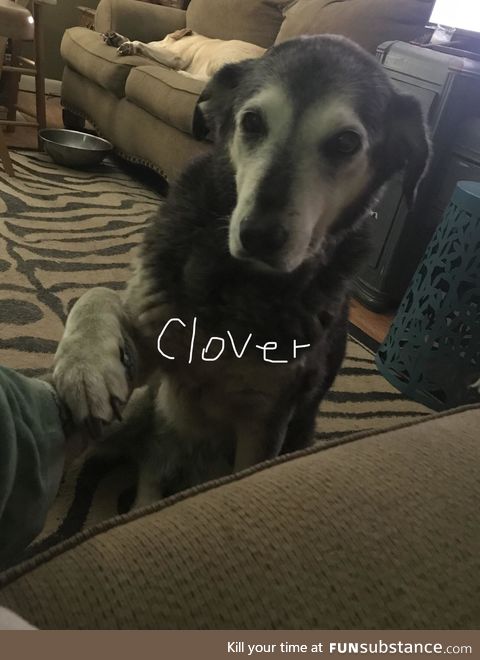 After 13 years, our time together is almost up. My heart is broken