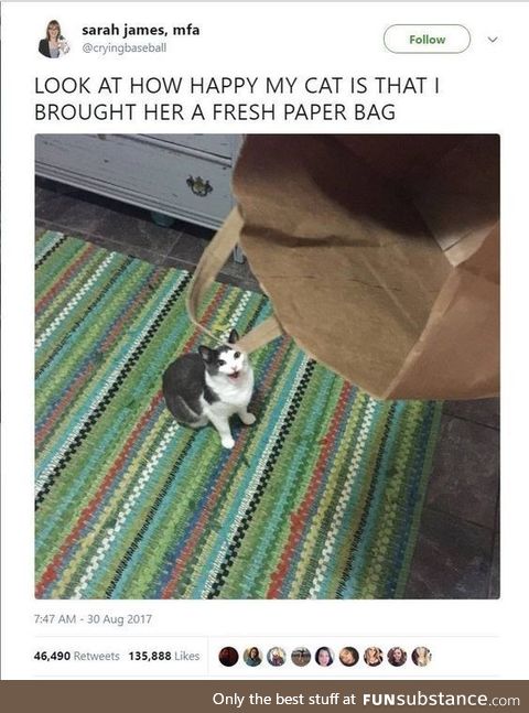 Happy kitty
