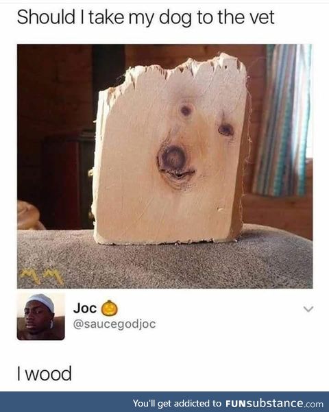 A Trip To The Vet Might Spruce Him Up A Little