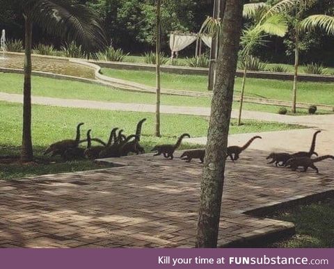 Tell me that I'm not the only one who see a herd of mini-dinosaurs