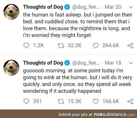 Doggo