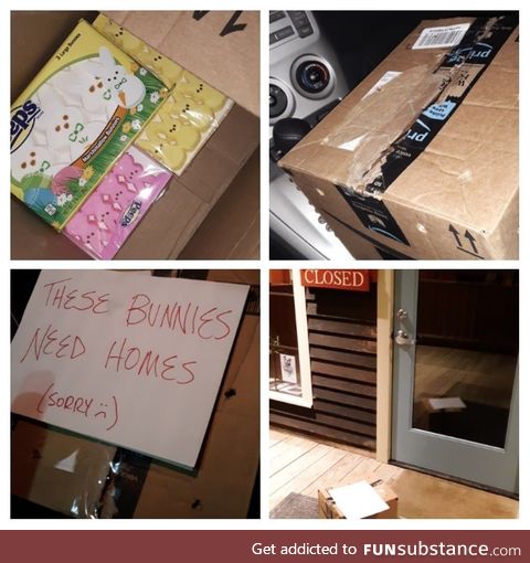 I work at a vet hospital. Just left the morning crew a little April Fools surprise
