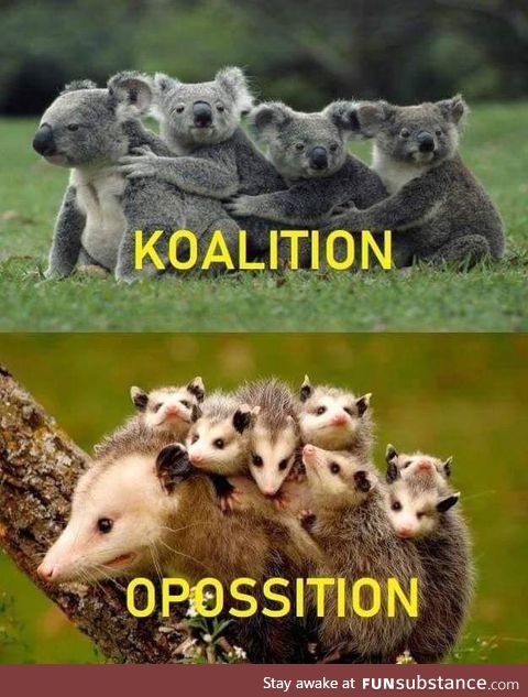 Which side are you? I prefer Koalition