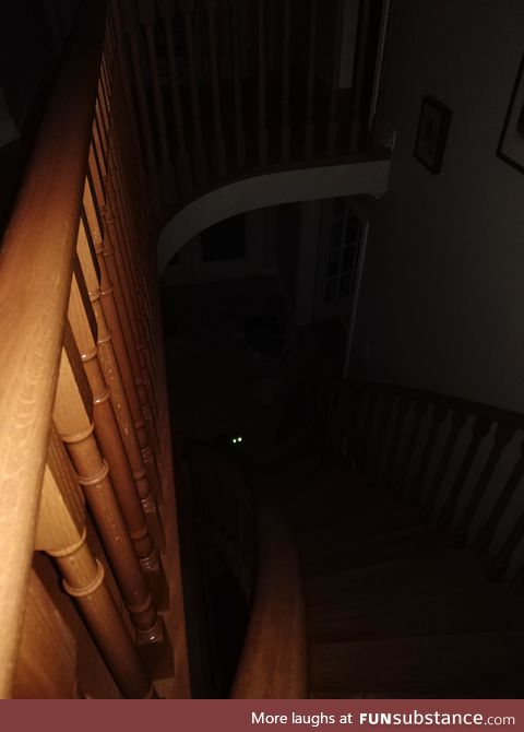 My Cats eyes in the dark