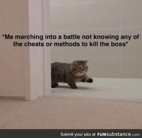 Rip newbies in dark souls