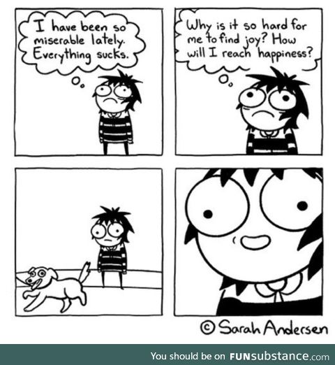 Dogs!