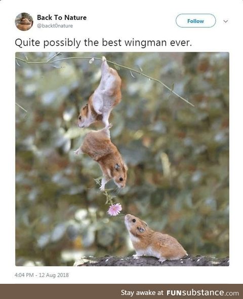 Best.Wingman.Ever