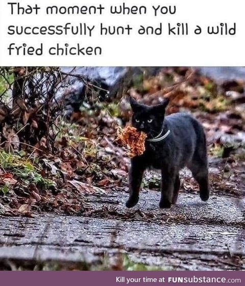 W I l d