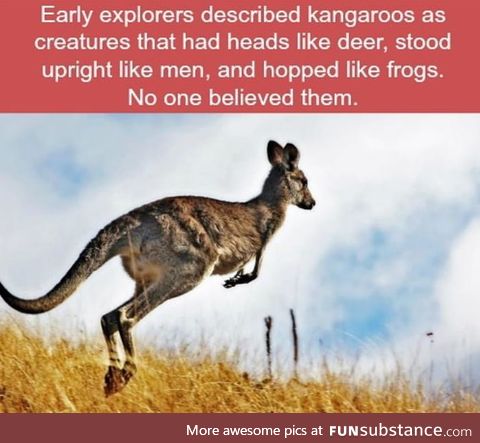 I wouldn't believe them either