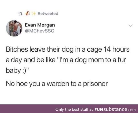 Release the hounds