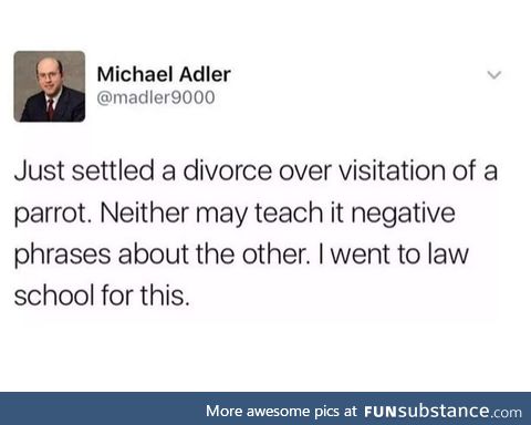 As a Lawyer, can confirm such champion cases