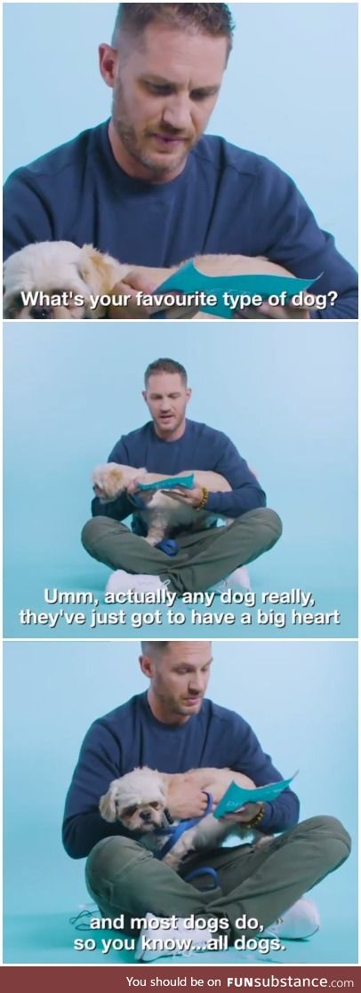Favourite Type of Dog