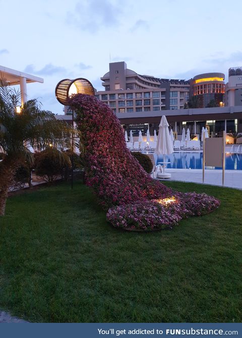 A bucket pouring flowers
