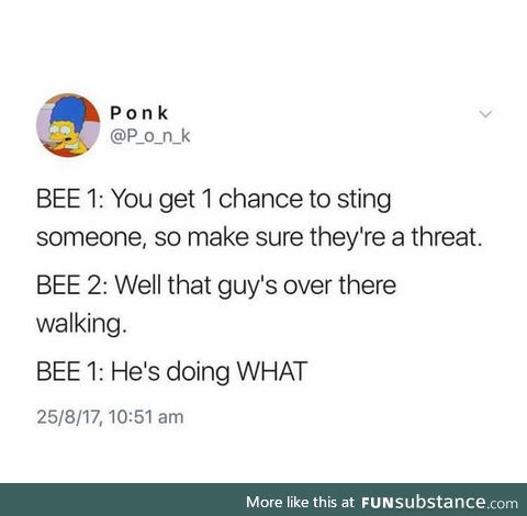 This describes my experiences with bees