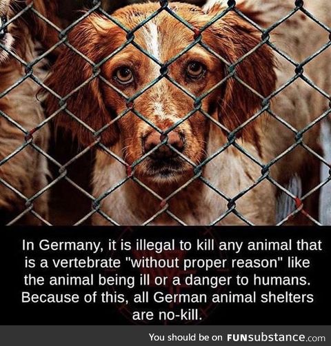 Germany loves vertebrates