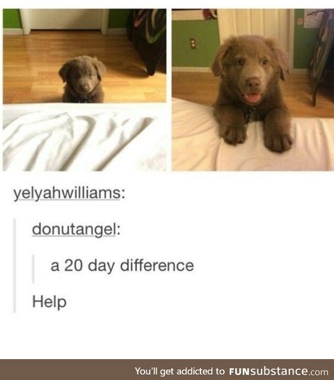 Still smol