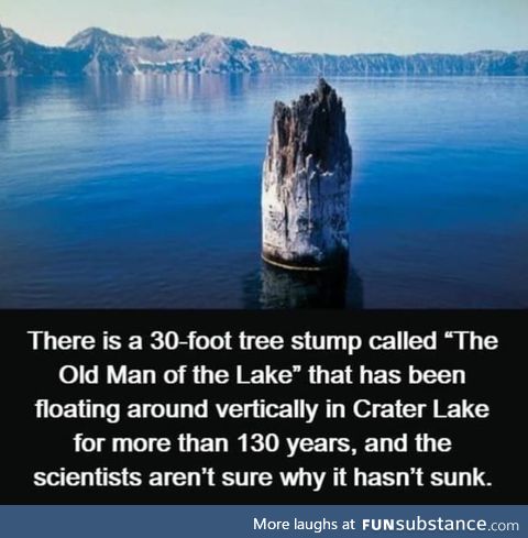 It just woodn't sink