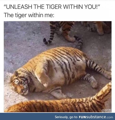Unleash the tiger within you!!