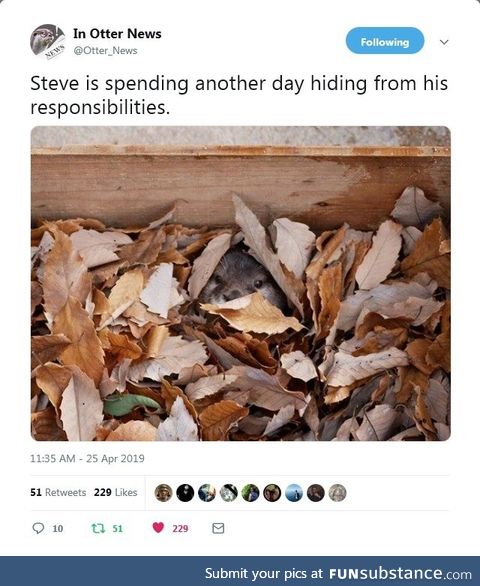 Steve is spending another day hiding from his responsibilities