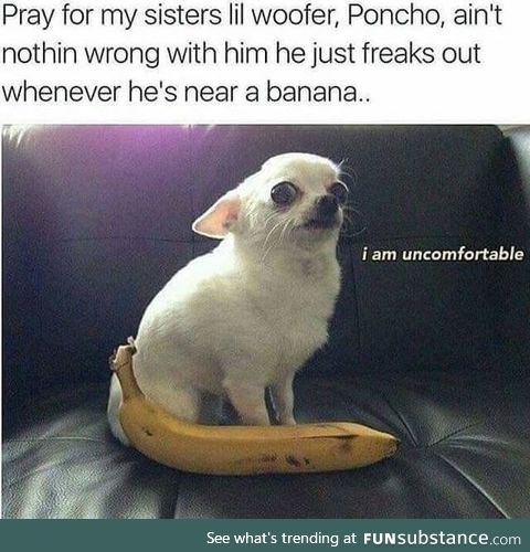 Fear