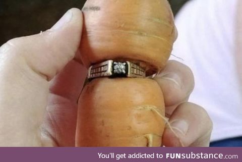 A Canadian woman lost her ring while gardening in 2004. She found it 13 years later