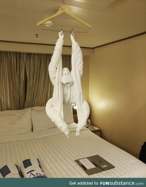 This towel monkey in a cruise ship